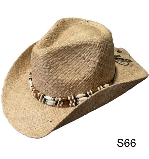 S66