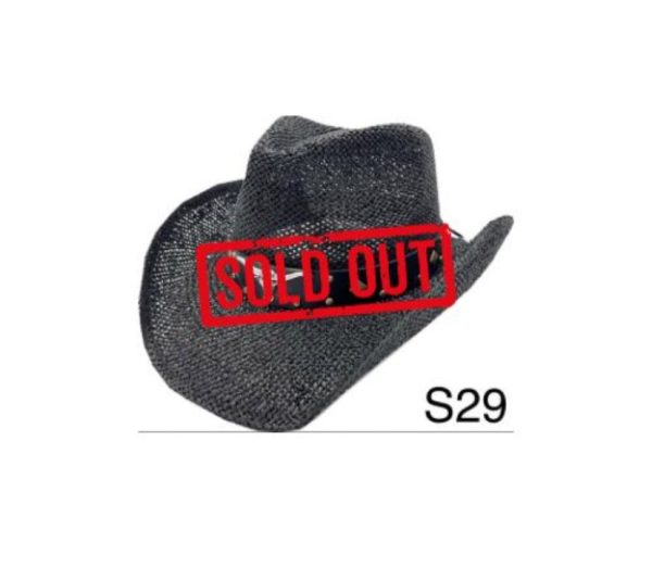 S29