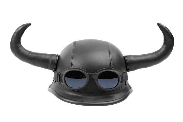 Novelty Helmet 2 Horns Viking