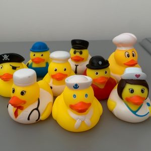 Mix Profession Rubber Ducks