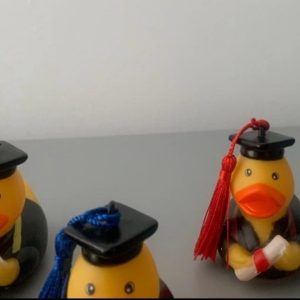 Mix Graduation Rubber Ducks