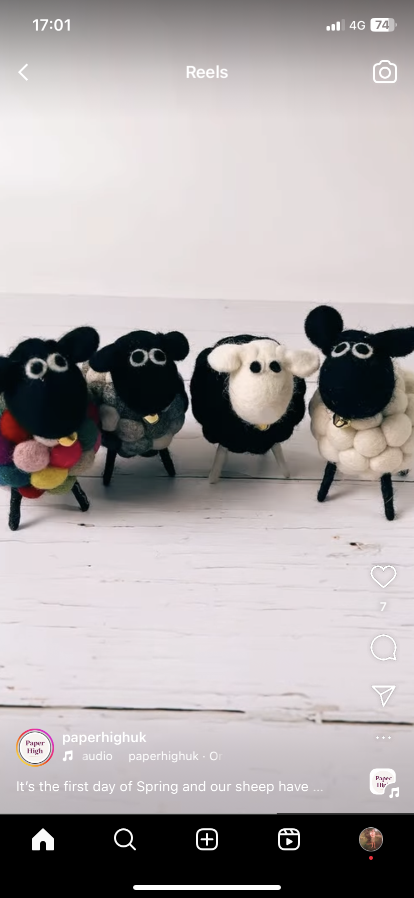 Felt Accessories - Image 15